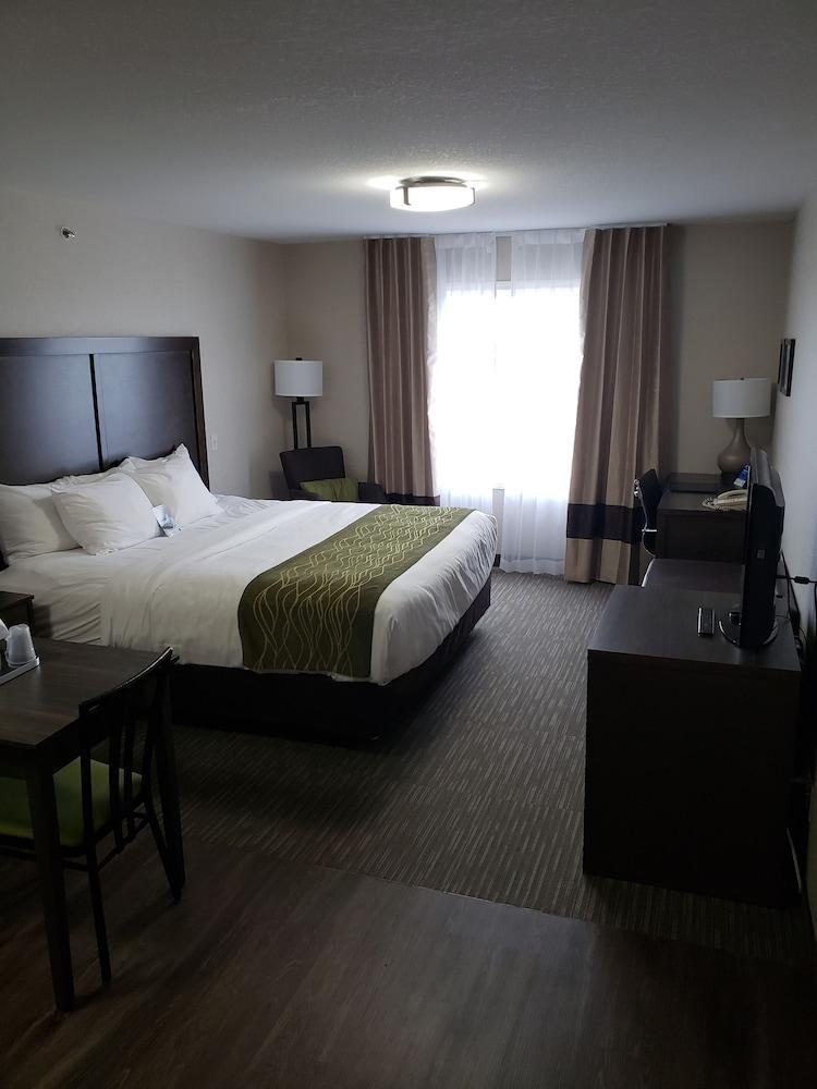 רד דיר Comfort Inn & Suites מראה חיצוני תמונה