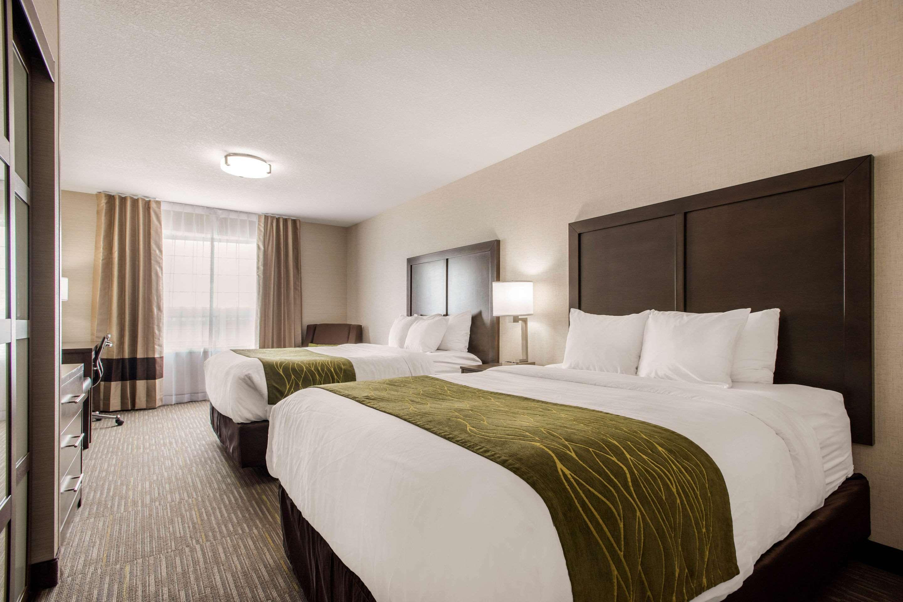 רד דיר Comfort Inn & Suites מראה חיצוני תמונה