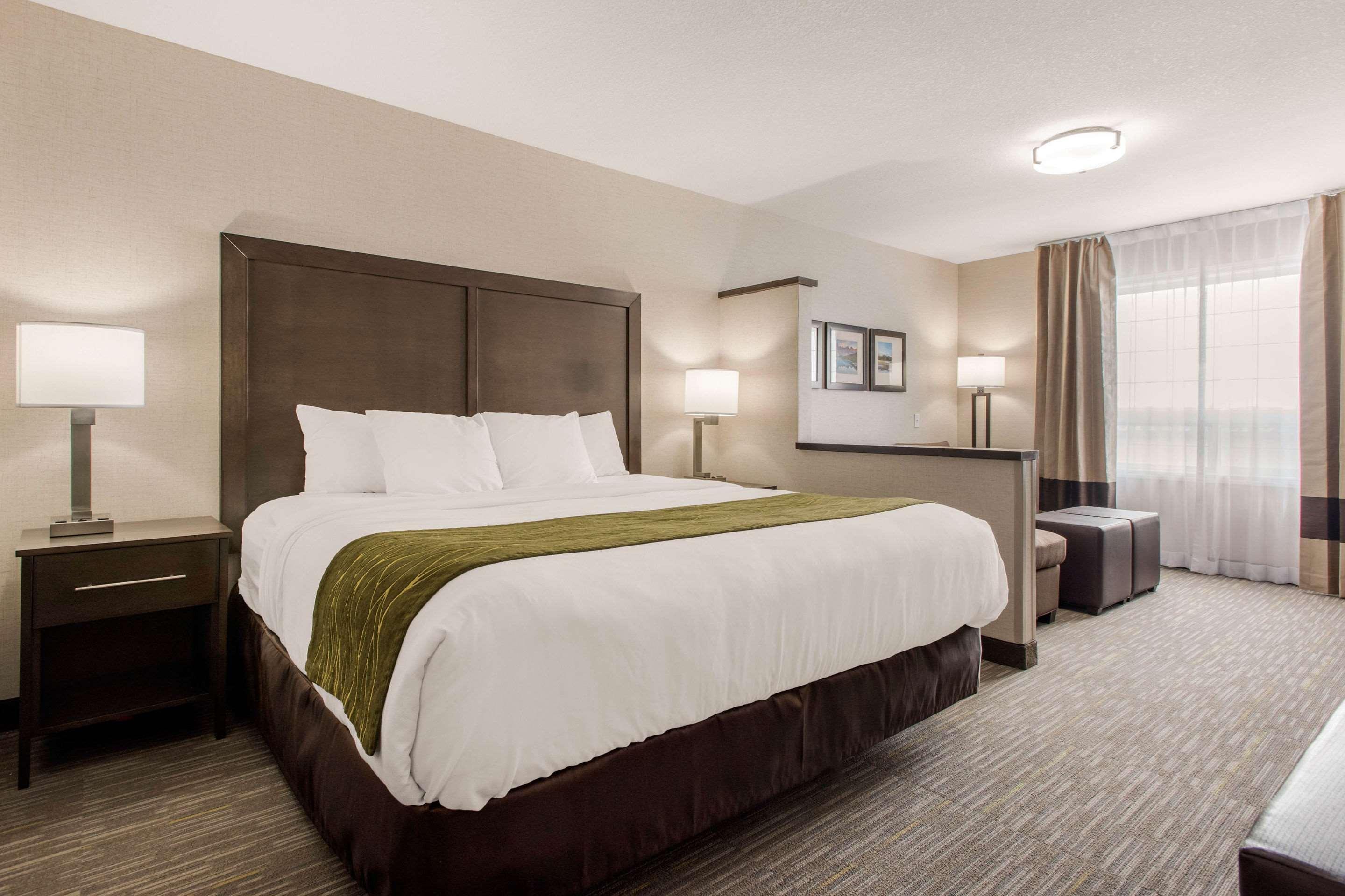 רד דיר Comfort Inn & Suites מראה חיצוני תמונה